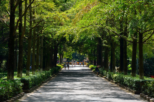 中山植物园