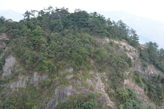 安徽绩溪七姑山