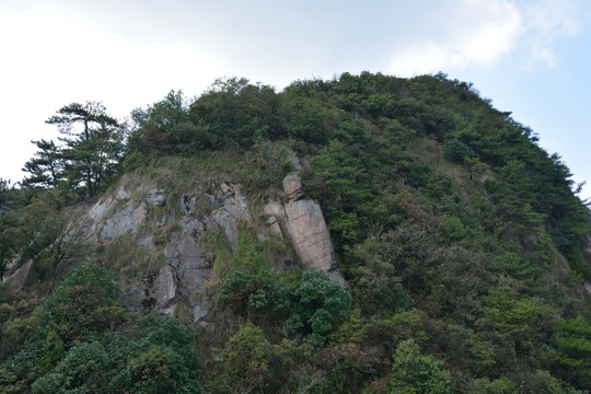 安徽績溪七姑山