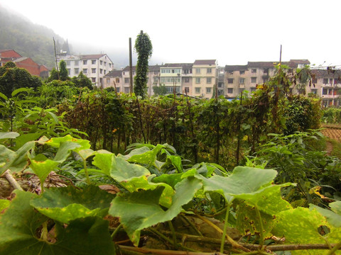 屋前屋后