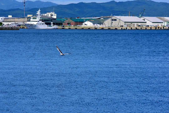 海港