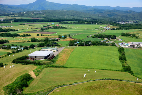 航拍北海道田园风光