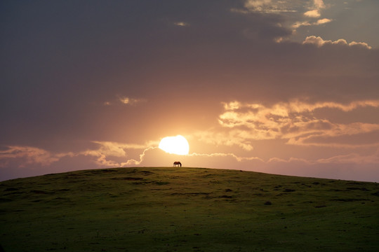 夕阳马匹