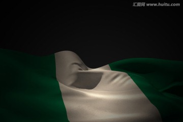 飘扬的尼日利亚旗帜