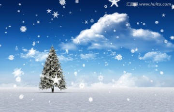 雪景中的冷杉樹(shù)卡通漫畫(huà)