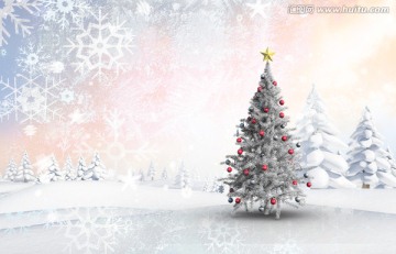 雪景与冷杉圣诞树