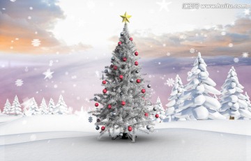 把明星对雪景与冷杉圣诞树