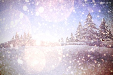 白雪覆蓋的冷杉樹(shù)