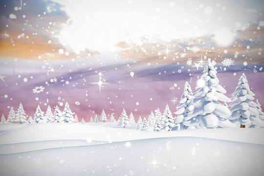 用冷杉樹下的雪落在雪地上