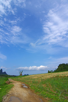 乡村风景