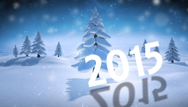 2015的復(fù)合圖像