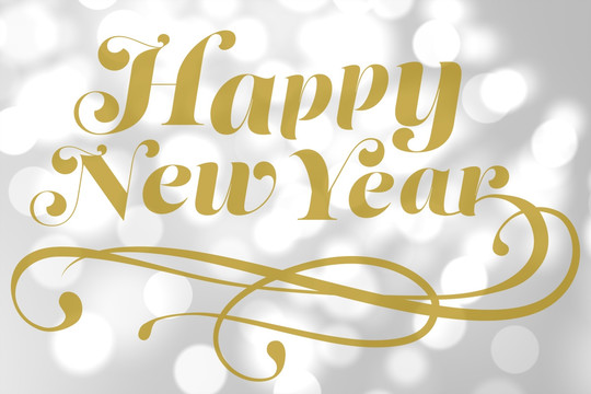 優(yōu)雅新年的復(fù)合形象