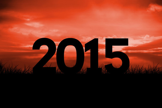 2015的復(fù)合圖像