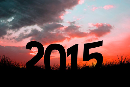 2015的復(fù)合圖像