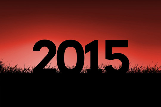 2015的復(fù)合圖像