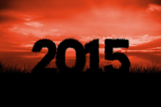 2015的復(fù)合圖像