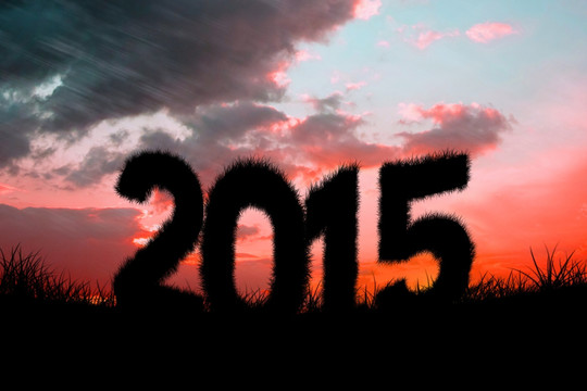 2015的復(fù)合圖像