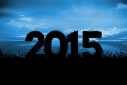 2015的復合圖像