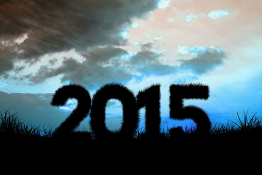 2015的復合圖像