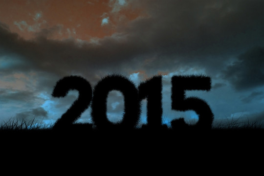 2015的復合圖像