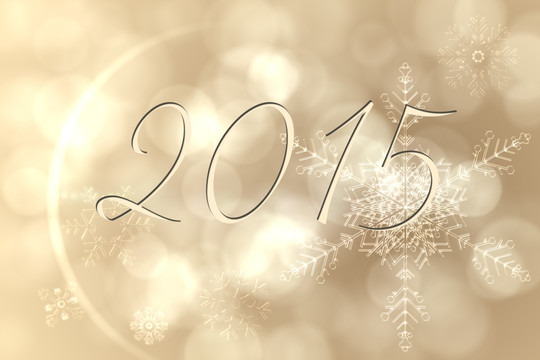2015的復合圖像