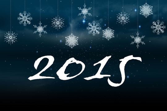 2015的復合圖像