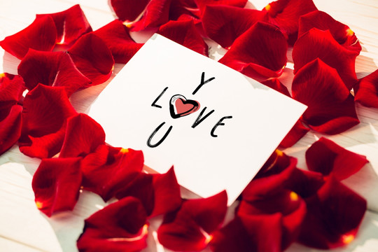 可爱的情人节短信在玫瑰花瓣上