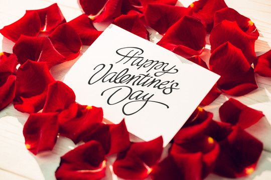 可爱的情人节短信在玫瑰花瓣上