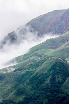 大山云雾