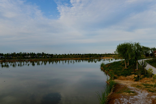 阳谷森泉湿地公园 工业烟囱