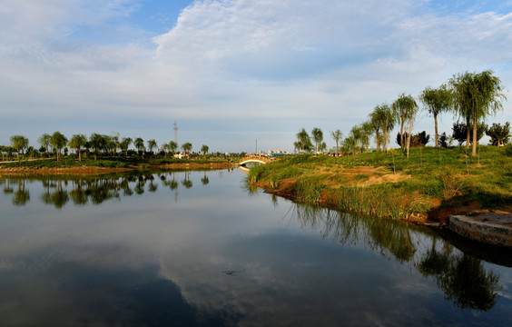 阳谷森泉湿地公园