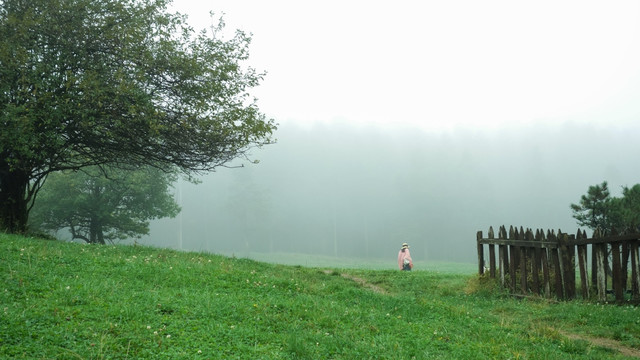 仙女山晨雾中的树与女孩