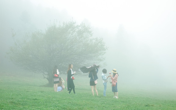 仙女山晨雾中的树与女孩