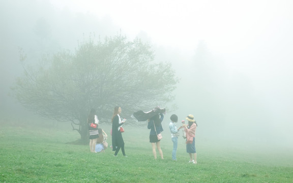 仙女山晨霧中的樹與女孩