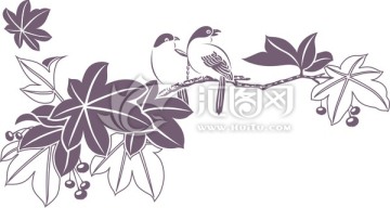 小鳥(niǎo)
