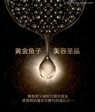 黃金魚(yú)子鱘魚(yú)卵創(chuàng)意海報(bào)