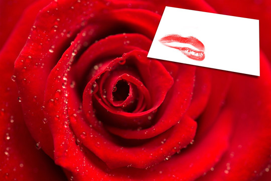 一朵大红玫瑰和卡片上的红唇