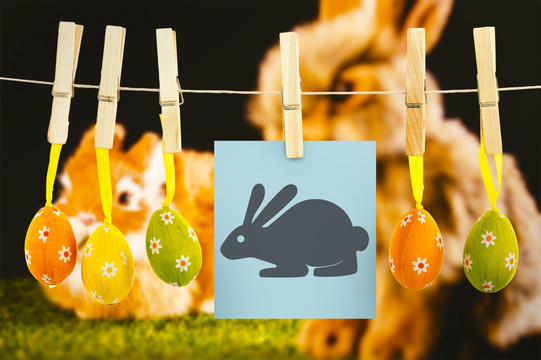 复活节兔子的复合形象