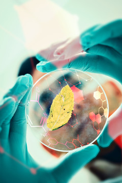 科學家做實驗的復(fù)合形象