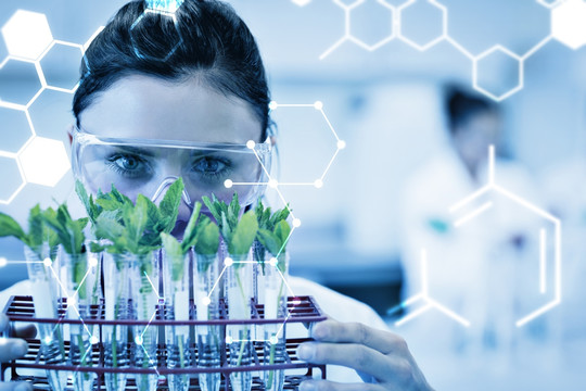 在研究植物的生物科學家