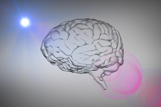 復合腦圖像