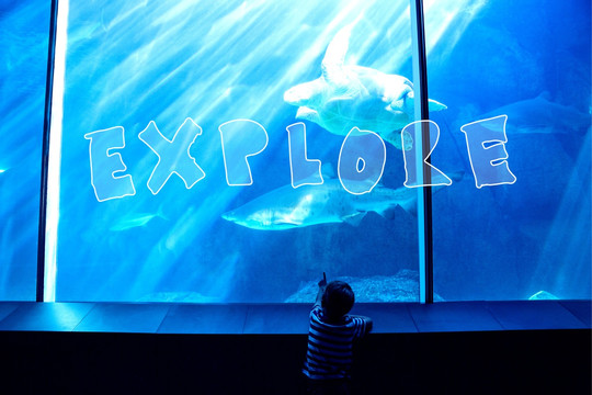 男孩看着水族馆的海洋生物