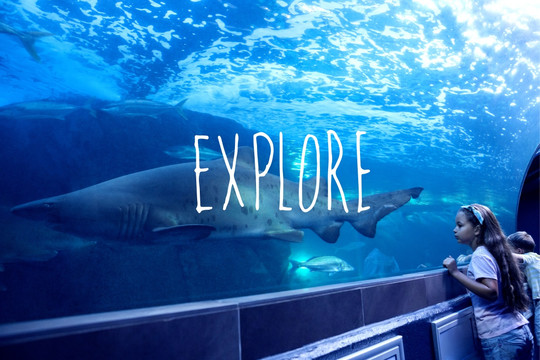 女孩看著水族館的海洋生物