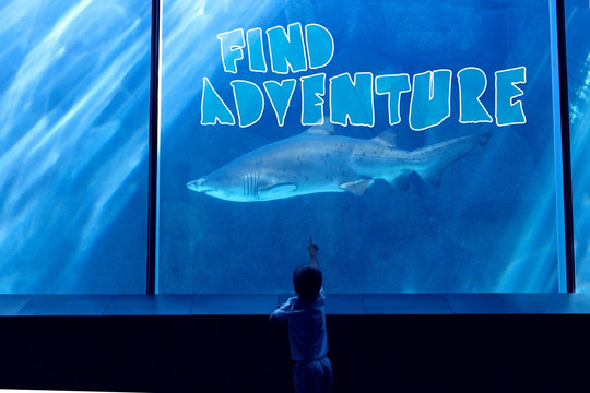 男孩看着水族馆的海洋生物