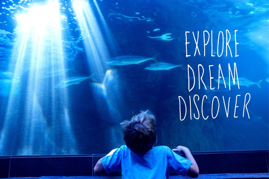 看著水族館里的魚的男孩
