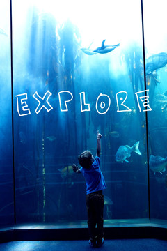 看著水族館里的魚的男孩