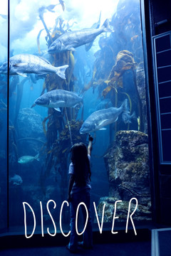 女孩看著水族館的海洋生物