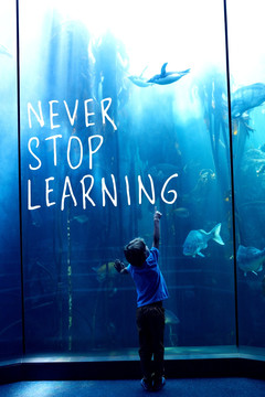 指著水族館里的魚的男孩