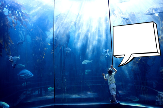 男孩看著水族館的海洋生物