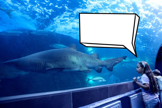 女孩看著水族館的海洋生物